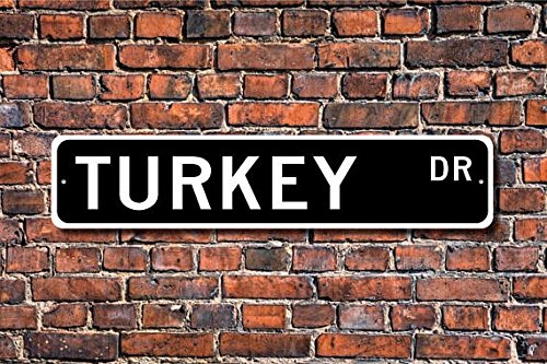 Preisvergleich Produktbild METALSIGN Metall Schild Türkei, Türkei Geschenk, Türkei Zeichen, Türkei Souvenir, Türkei Native, Türkei Urlaub Momento, Custom Street Zeichen, Qualität 10,2 x 45,7 cm