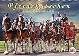  Pferdekutschen - Vorgänger des Automobils (Wandkalender 2017 DIN A2 quer): Kutschen, früher Statussymbol und das Reisefahrzeug schlechthin. (Monatskalender, 14 Seiten ) (CALVENDO Tiere)