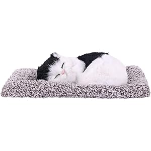 SUPER TOY Cute Sleeping Cat Plush Toy with Meow Sound, Gift for Kids Car Dashboard Accessories (Black)
