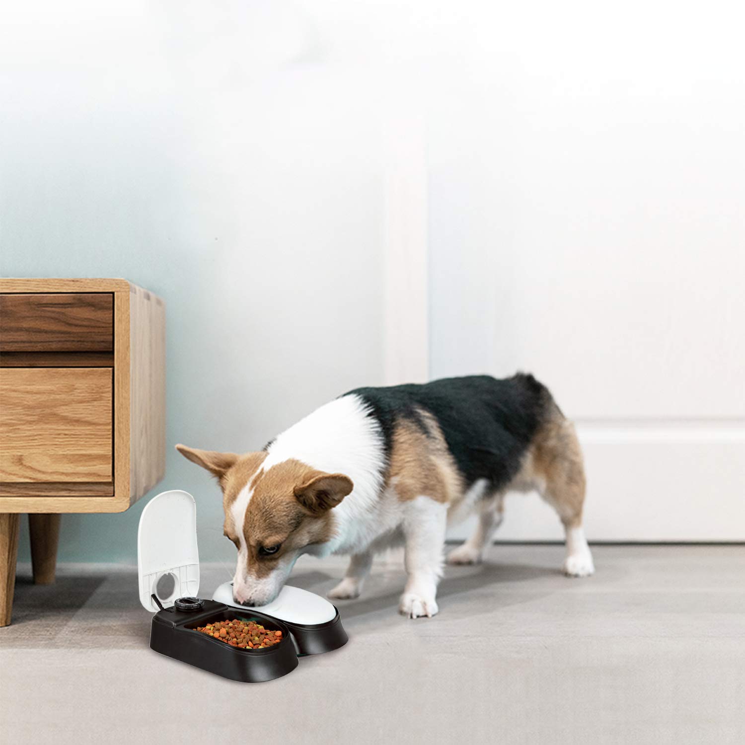 pawise automatic feeder