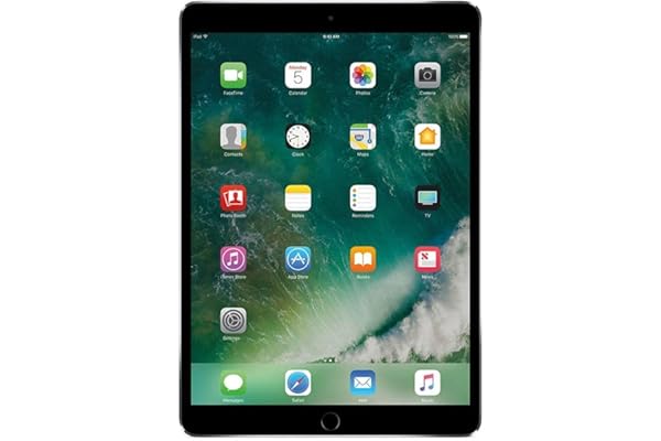 2017 Apple iPad Pro (10.5-pulgadas, Wi-Fi, 256GB) - Gris Espacial (Reacondicionado)