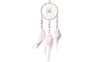 Weldomcor AtrapasueñOs Hecho A Mano Rejillas De Plumas AtrapasueñOs Interior del Coche Espejo Retrovisor Colgante Ornamento Boho DecoracióN Colgante De Ventana Regalo De ArtesaníA (Rosa)
