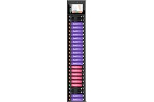 LIMETA Caricabatterie 24 Slot AA AAA per Pile Ricaricabili 1,2V Ni-MH, Ni-Cd, NiZn, LiHv, Indipendente Ricarica Rapida con Funzione Scarica e Display LCD Touch Ingresso DC