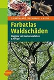Image de Farbatlas Waldschäden: Diagnose von Baumkrankheiten
