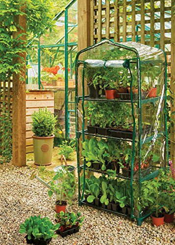 4-Tier Mini Greenhouse – 27x19x62 Inch Portable Indoor/Outdoor Greenhouse With Clear PVC Cover, 4 Shelves