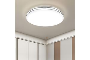 VIPMOON 24W LED Ceiling Light, 2160LM, 6500K Cold White Double Silver-Rimmed Round Ceiling Lights, SMD 2835, Bathroom Ceiling Light for Living Room Garage Hallway Basement Stair Office