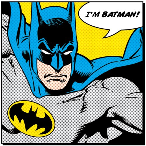 Preisvergleich Produktbild Cadre En Toile Batman "Quote"