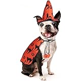 POPETPOP hund halloween utklädsel – husdjur trollerska kostym mumhänge med häxhatt valp katt halloween kläder kläder kläder k