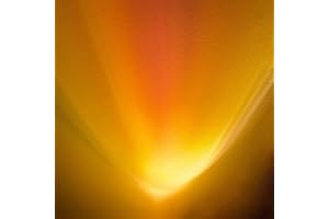 ‎S`LUCE s.luce Farbfilter passend zu Beam verschiedene Farben, Farbfilter:Sunset