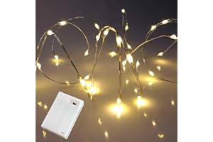 Micro LED String Lights, Warm White, Silver Wire Lights, with Timer Mode, Battery Operated Firefly Fairy Lights by Qbis (40 LED)