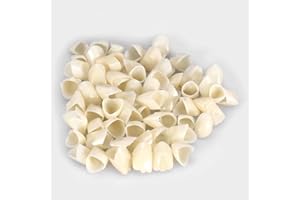 LANTRO JS Tymczasowa korona, sztuczne zęby, 50 szt./pudełko, do jamy ustnej, przednie zęby