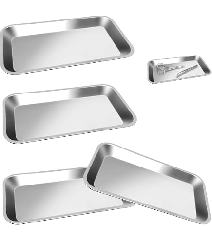 Plateau Rectangulaire En Acier Inox 430 - Dimensions 26,5x15,5x1,2 Cm - Pour Laboratoire, Hôtellerie Ou Usage Domestique - 12