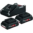 Bosch Professional 18V System Akku Set (inkl. 2x4.0Ah Akkus + Ladegerät GAL 18V-40, im Karton)