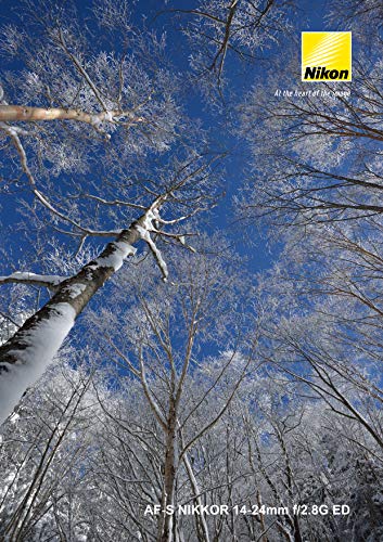 Mejor Nikon AF-S 14-24mm F2.8 G - Objetivo con Montura para Nikon
(Distancia Focal 14-24mm, Apertura f/2.8) Descuento