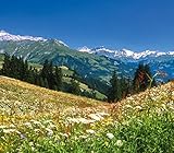 Dehner Bio Bergwiesenheu
