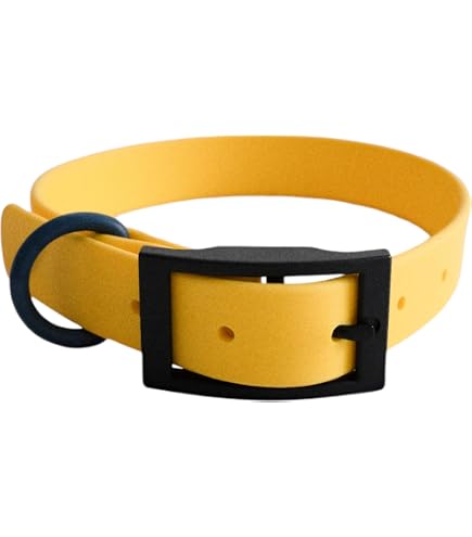 BioThane Hundehalsband & Leine Set – Robust, Wasserfest & Handgefertigt In Frankreich (Größe 35-40 Cm, Farbe Amethyst)