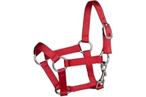 Panduro Hobby Horse Accessory - Licol - Accessoire pour cheval de bataille et cheval hobby - Rouge