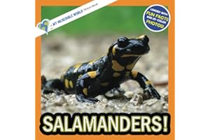Salamanders!: A My Incredible World Picture Book for Children (My Incredible World: Nature and Animal Picture Books for Children)
