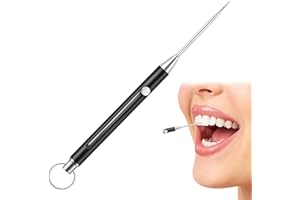 NANGILO Portable Titanium Toothpick,Telescopic Keychain Metal Toothpick,Metal Pocket Toothpicks with Protective Holder,Reusable Toothpicks for Picnic Camping Traveling