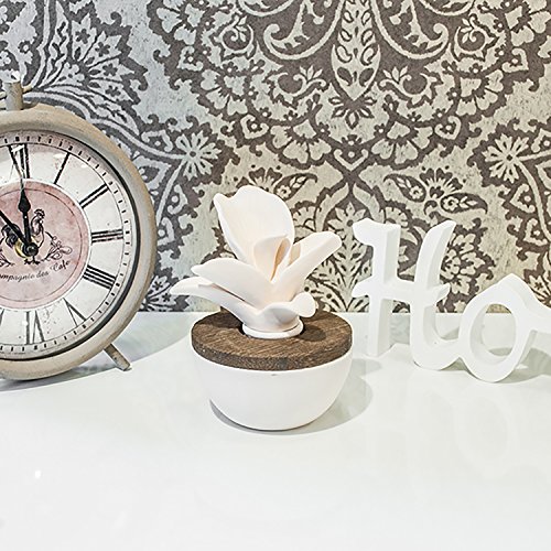 PAJOMA 51747 Raumduft Jasmin Keramikblüte, Keramik/ Holz , ø 9 - 3