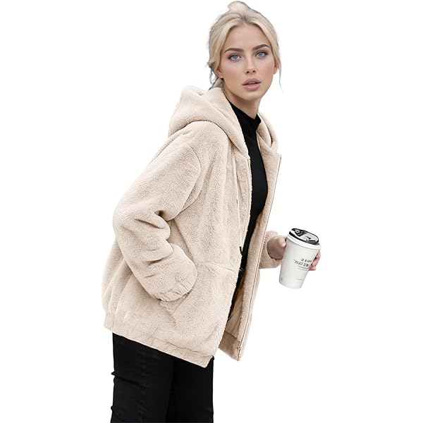 Sweat-Shirt à Capuche Doublure Polaire Femme Sweat à Capuche Manteau En Peluche Veste Zippée à Capuche Chaud Zippé Sweat-Shirt Hiver Épais Hoodie Zip Up Avec Poches Veste Polaire Femme Chic