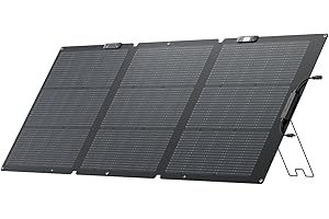 ECOFLOW 160W Solarpanels Faltbar Solarmodul für Delta & RIVER Serie Tragbare Powerstation, Photovoltaik Modul Solaranlage für Outdoor Garten Balkon Wohnwagen Camping