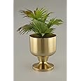 Rust & Shine Bloom Space Iron Plant Pot - Gold Finish | Durable Metal Made Plant Pot for Home, Office and Balcony Decor | Modern & Aesthetic Design Pot for Botanicals