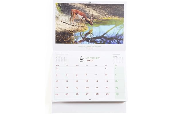 Wrendale Calendar 2022 Amazon