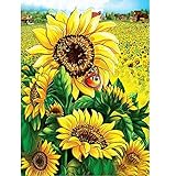 Einzigartige Schönheit und Mode Design - wenn Sie denken, der Dekoration Ihres Hauses ist geschmacklos und einfachen, unsere Kreuzstich Diamant Malerei Kits Kann Ihnen helfen, um Ihre Zeichnung Zimmer, Schlafzimmer und andere Orte zu anregende.