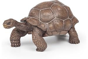 Papo - Figurines A Collectionner - Tortue Des Galapagos - Animaux Sauvages - Convient Aux Enfants - Filles Et Garçons - A Partir De 3 Ans