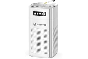 DAYETTE Tragbarer Luftreiniger für Allergiker, ideal für Schlafzimmer und Auto, mit Duftschwamm und HEPA 13 Filter gegen 99,97% von Staub, Pollen, Tierhaaren & Gerüchen, 15dB Ultra-Leise