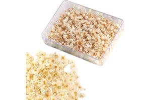 ZILZUFA 200 Piezas Mini Flores Secas para Resina Color Original Naturales Flores Secas Manualidades Pequeñas con Caja para Bricolaje Arte de Uñas Funda de Teléfono Joyería Decoracion para Bricolaje Epoxi