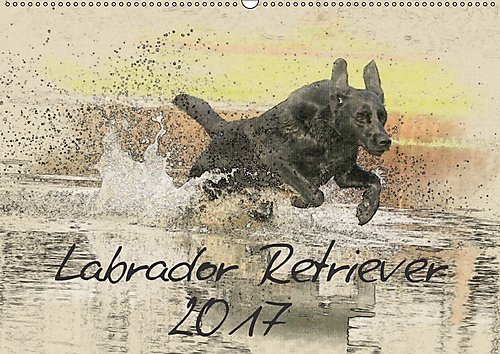 Labrador Retriever 2017 (Wandkalender 2017 DIN A2 quer): Labradorkalender im kunstvollen Aquarell-Stil. Wer außergewöhnliche Bilder liebt, wird in ... (Monatskalender, 14 Seiten ) (CALVENDO Tiere)