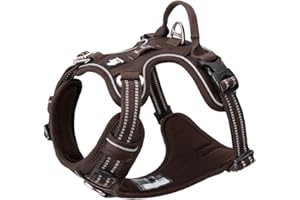 TRUE LOVE Harnais pour Chien No Pull Nylon Souple Réfléchissant Réglable pour Petit Grand Animal Domestique TLH56512(L, Marron)