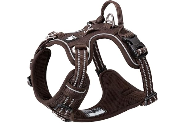 Harnais pour Chien No Pull Nylon Souple Réfléchissant Réglable pour Petit Grand Animal Domestique TLH56512(L, Marron)