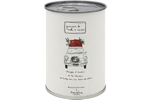 MAUVAISESGRAINES-KITS À SEMER Mauvaises Graines - Noël - Kit de Plantes à Semer en Boîte - Kit de Culture à Offrir comme Cadeau Original Amis Famille Fêtes - Ultra Simple à Utiliser - 100% Fabriqué en France (Chargée d'amour)