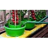 Garland Plant Halos Green Pack 3 (338373)