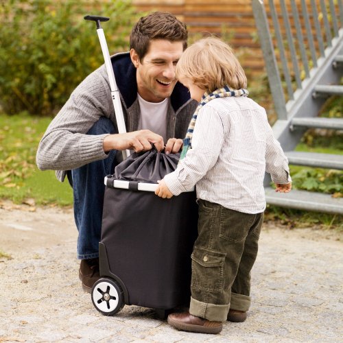 reisenthel carrycruiser Trolley Einkaufskorb Thermo Kühltasche Schwarz 40 Liter - 7