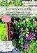 Produktbild Gartenromantik - Cornwall & Romantische Gärten - Mansion Gardens & Landschaftsgärten [2 DVDs]