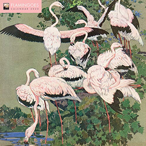 Recherche et téléchargement gratuits de livres MOBI Flamingoes 2020 Calendar MOBI 