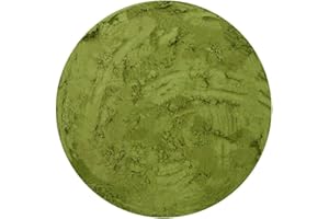 YOUHERBIT Natürlich Gerstengras Pulver Gerstengraspulver - Hordeum Vulgare L. (450g)