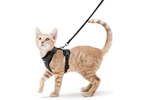 rabbitgoo Cat Harness and Lead Set, Escape Proof Kitten Harness with Leash, Metal Ring, Lightweight Soft, Reflective Adjustable Vest for Small Cat Walking Travel XS, Black