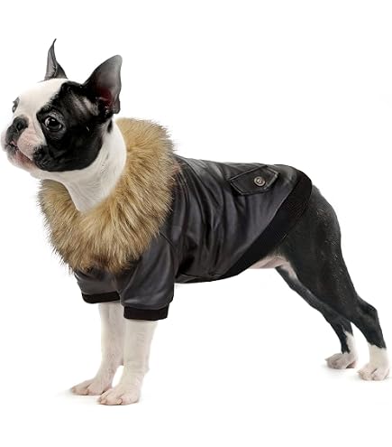 Hunde-Lederjacke Aus PU – Wasserdicht, Winddicht, Mit Knöpfen, Für Kleine/mittelgroße Hunde, Größen XS-XXXL