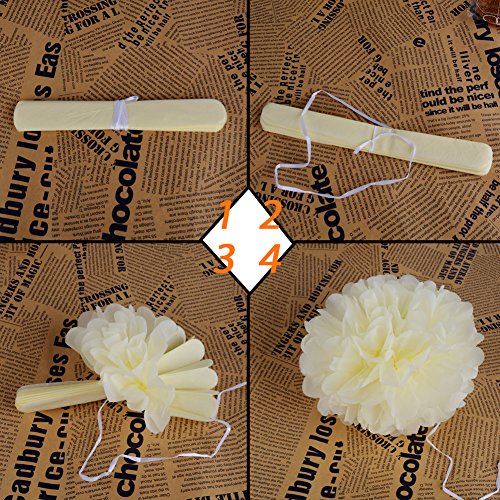 16 Stk Party Deko Set Papier Pompoms Laterne und Girlande (Hellbeige + Rosa + Gold) Rund Lampions Dekoration Pompons für Hochzeit Geburtstag Taufe Weihnachten - 5