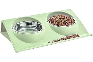 LOVE BEGANS Ciotole per Gatti Doppia, 15° Ciotola Gatto Inclinata in Acciaio Inox, Portatile Rimovibili Antiscivolo, Ciotola Gatto Antivomito Perfetta per Gatti e Cani di Piccola Taglia, Durevole (verde)