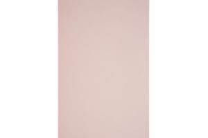 Netuno 50x carta colorata rosa pallido formato A4 210 × 297 mm 115g Sirio Color Nude carta bristol A4 per lavoretti bricolage decorazioni bigliettini partecipazioni inviti carta da zucchero