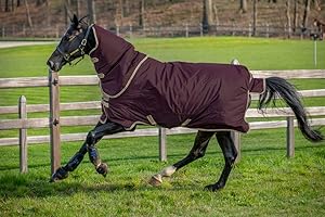 Horseware Amigo Hero Ripstop Plus 100g Weichen Teppich 145cm Fig/Navy & Tan
