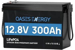 Oasesenergy Batterie Lithium 12V 300Ah LiFePO4 Mini, Batterie lifepo4 avec 200A BMS Protection Basse température, 3840Wh 12V pour système Solaire, Camping-Car, pêche à la Ligne, caravanes