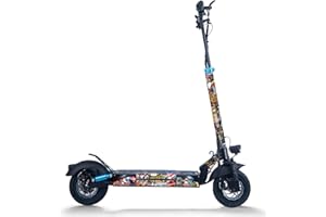 STYLISH SCOOTERS Vinilos para Patinete Eléctrico Modelo Smartgyro (Patinete NO Incluido)