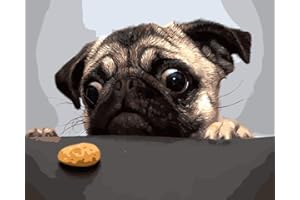 WOWDECOR malowanie według liczb, dla dorosłych, dzieci, dziewczynek, motywy: zwierzęta, świnka, królik, sowa, 40 x 50 cm, wstępnie zadrukowane płótno pod obraz olejny bez ramy pies